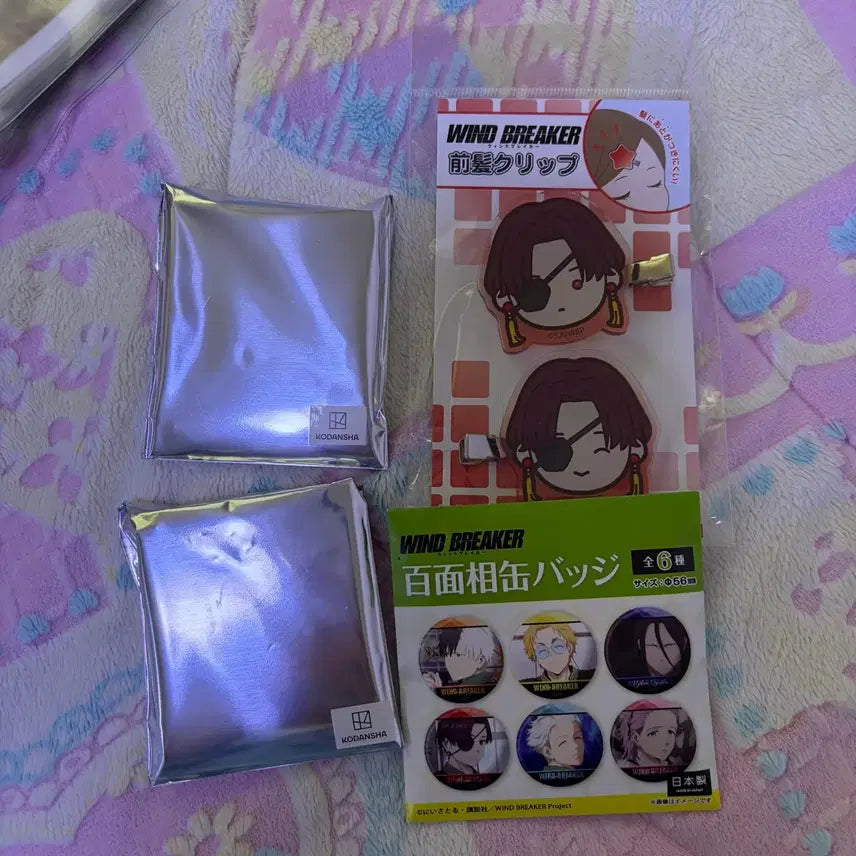 [BUNJANG] Wind Breaker SIO Hairpin & Keyring Set / 윈드브레이커 스오 헤어핀 키링 니레이