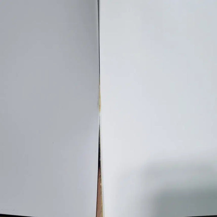 [BUNJANG] Baby V.O.X Devotion Photo Book Set / 베이비복스 화보집