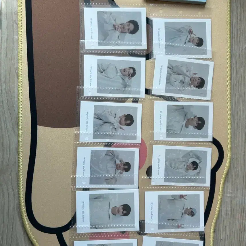 [SOLD OUT] 비투비 폴라 비투게더 10주년