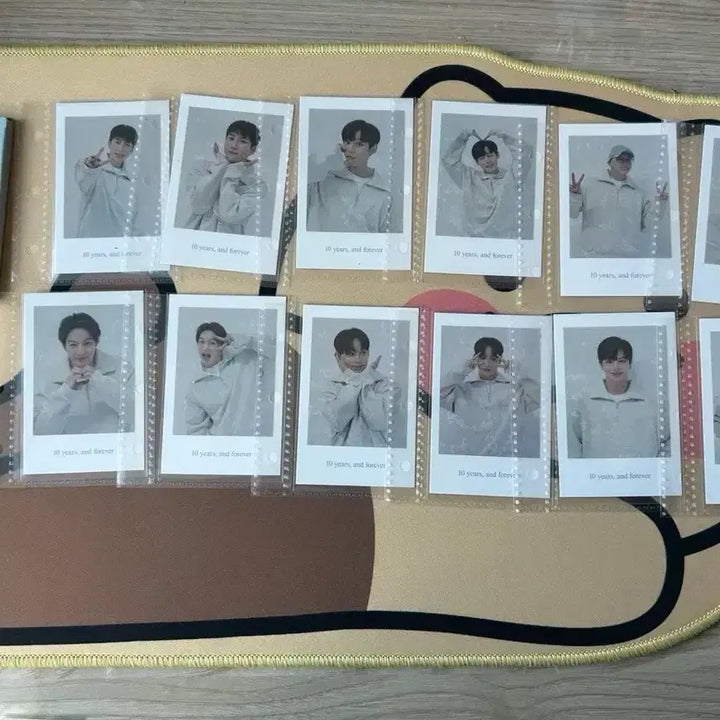 [SOLD OUT] 비투비 폴라 비투게더 10주년