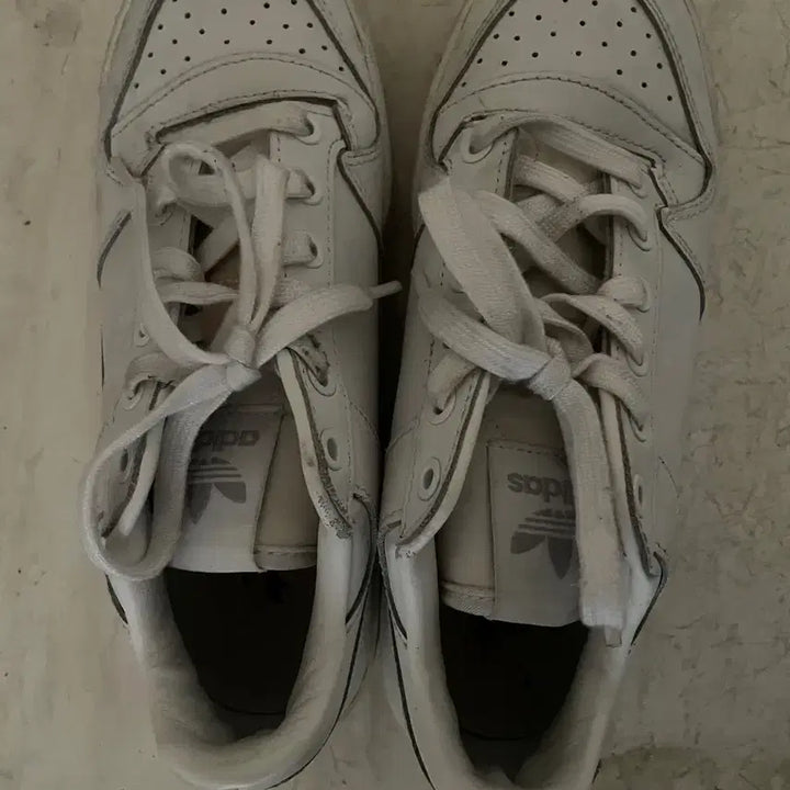 [BUNJANG] Adidas Forum Low White / 아디다스 포럼 화이트 250