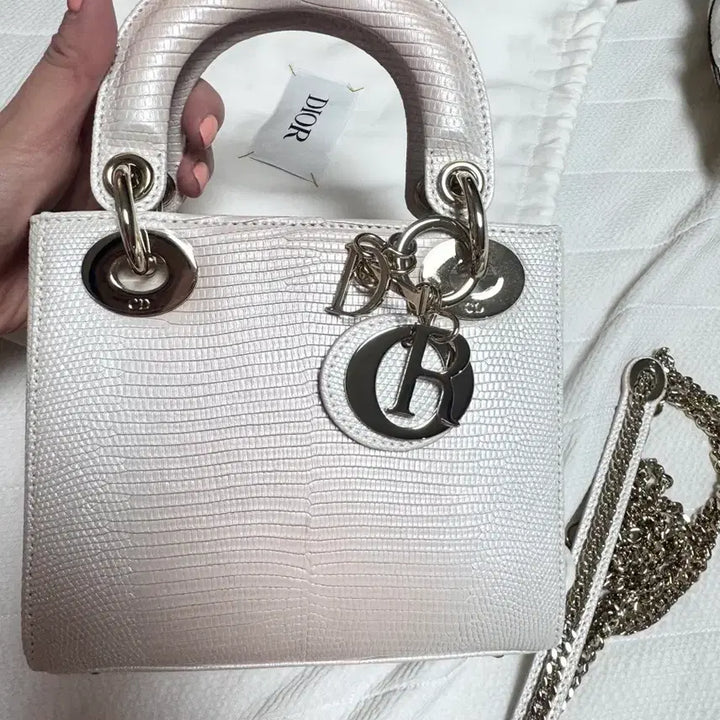[BUNJANG] Dior Lady Limited Edition Bag / 디올레이디 리미티드에디션 백
