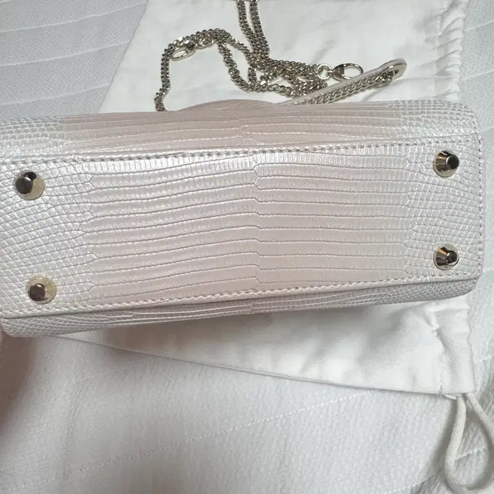 [BUNJANG] Dior Lady Limited Edition Bag / 디올레이디 리미티드에디션 백