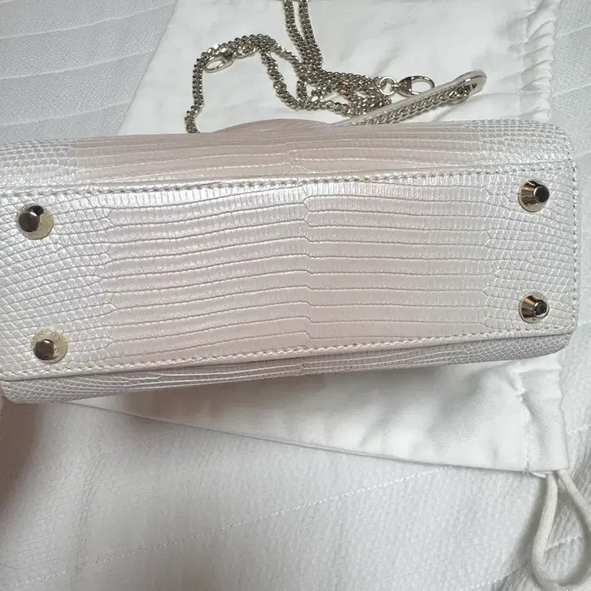 [BUNJANG] Dior Lady Limited Edition Bag / 디올레이디 리미티드에디션 백