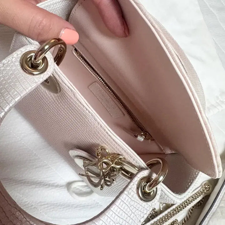 [BUNJANG] Dior Lady Limited Edition Bag / 디올레이디 리미티드에디션 백