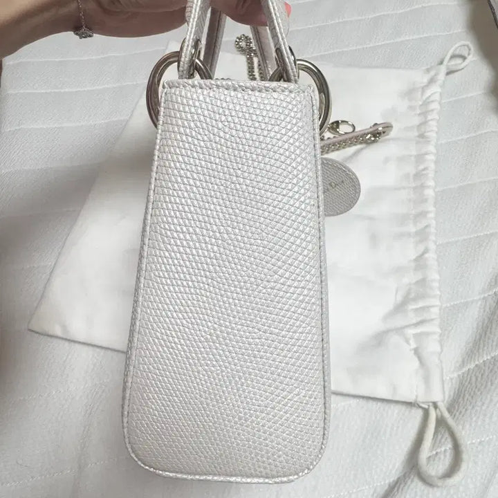 [BUNJANG] Dior Lady Limited Edition Bag / 디올레이디 리미티드에디션 백