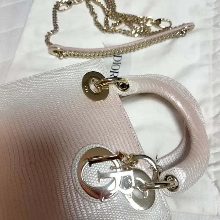 [BUNJANG] Dior Lady Limited Edition Bag / 디올레이디 리미티드에디션 백