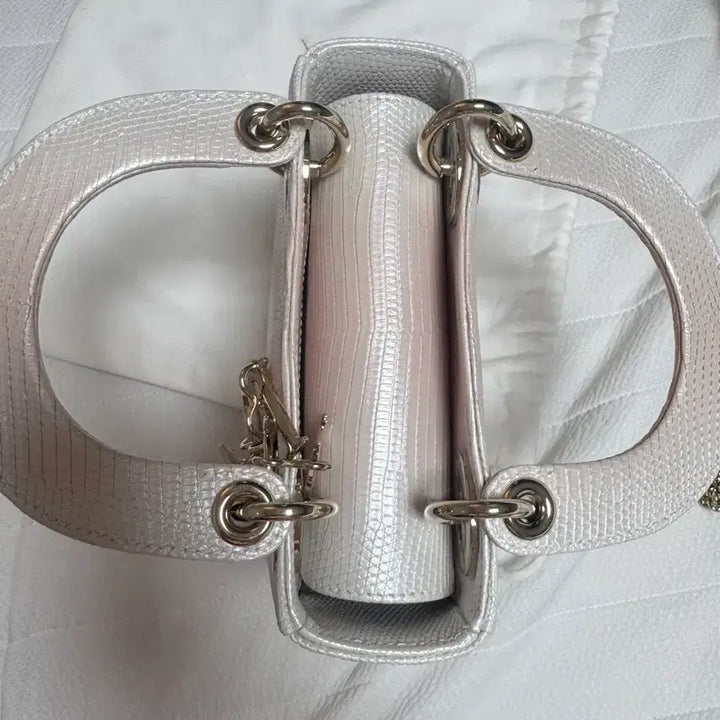 [BUNJANG] Dior Lady Limited Edition Bag / 디올레이디 리미티드에디션 백