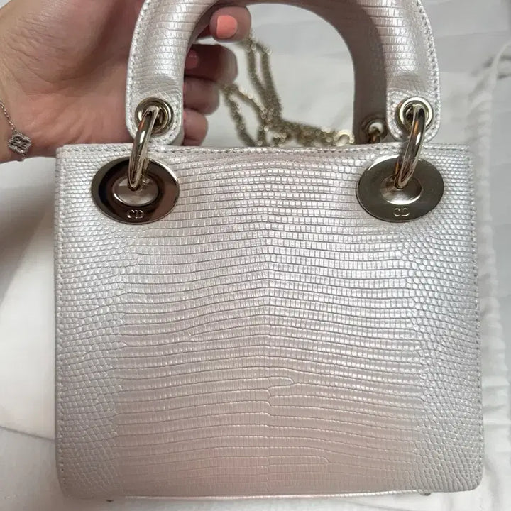 [BUNJANG] Dior Lady Limited Edition Bag / 디올레이디 리미티드에디션 백
