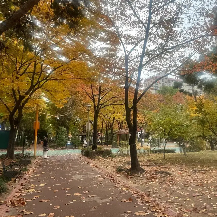 [BUNJANG] Trader Joe's Eco Bag Tote Bag Set / ㅡ완료