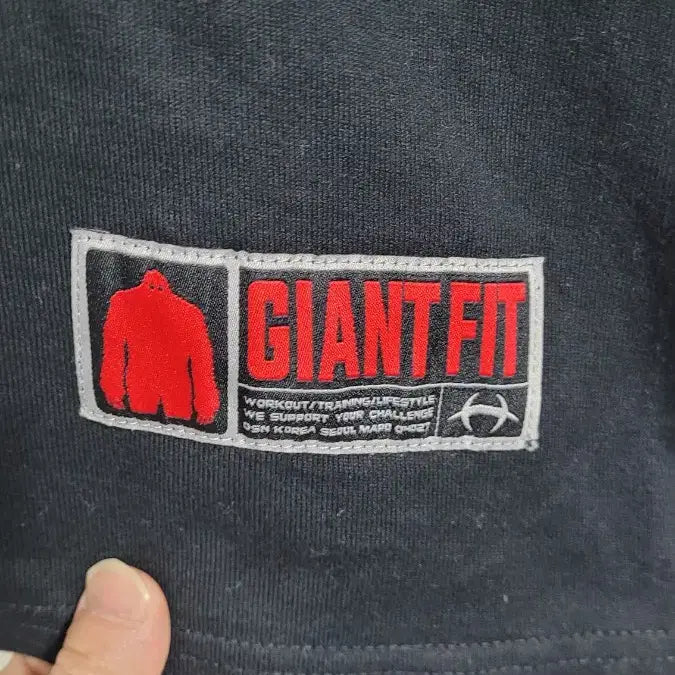 [BUNJANG] HDEX Giant Fit 3XL Men's Training Sweatshirt / [105]HDEX에이치덱스 피트니스짐웨어 자이언트핏 빅사이즈맨투맨 3XL