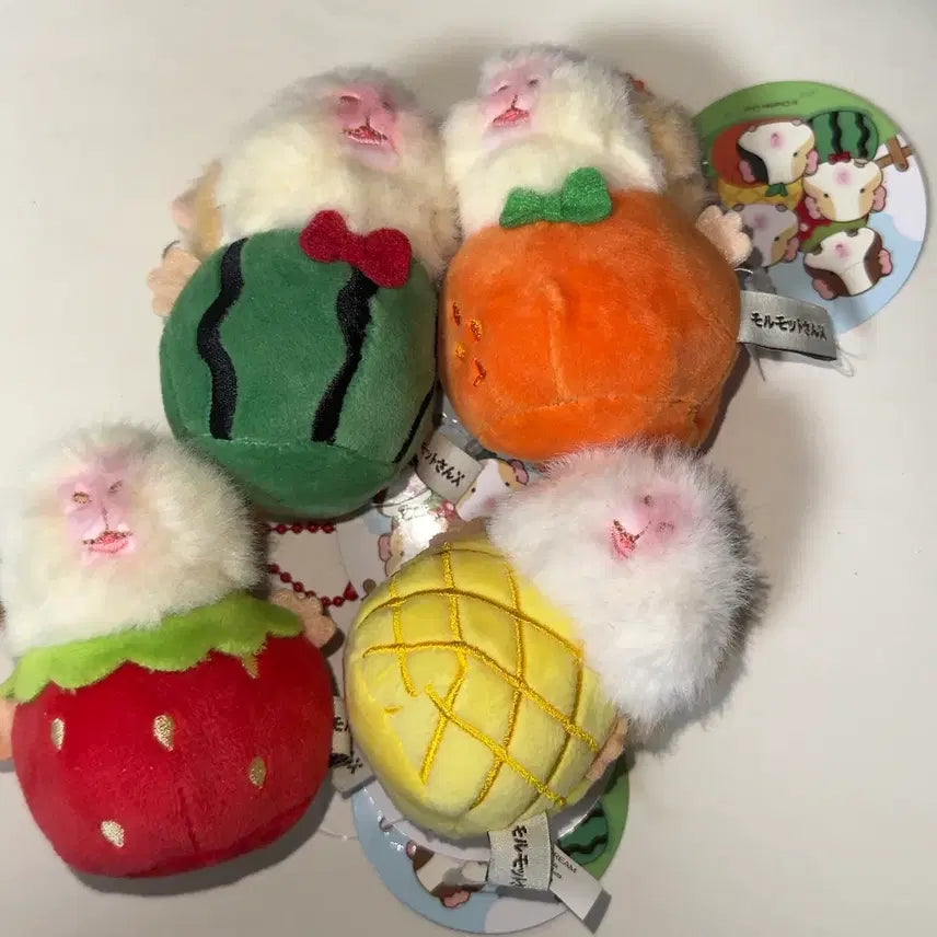 [BUNJANG] Morrumotto Plushie Hamster Keychain / (품절)과일 모루못토상 기니피그 햄스터 인형 키링