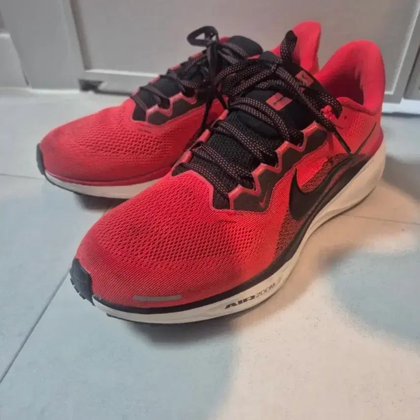 [BUNJANG] Nike Pegasus 41 Running Shoes / 나이키 페가수스41 285mm 판매