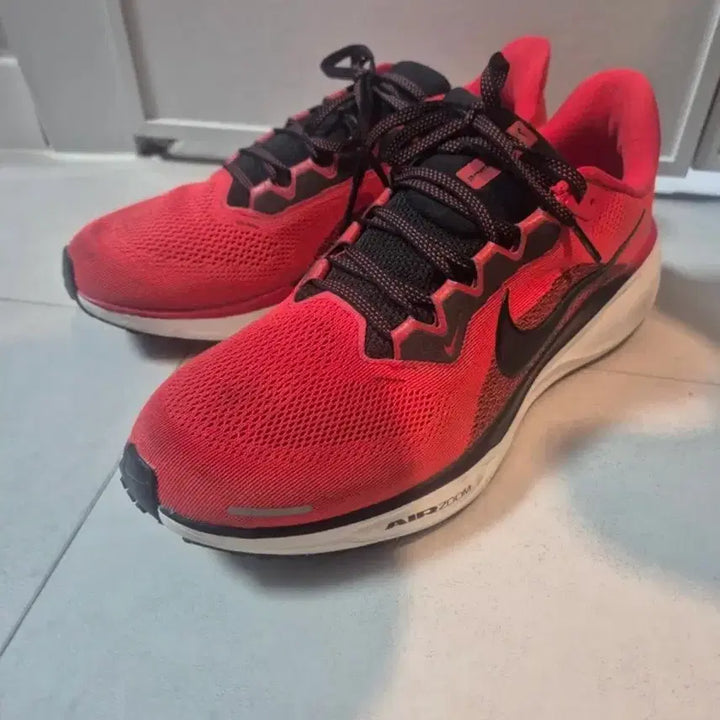 [BUNJANG] Nike Pegasus 41 Running Shoes / 나이키 페가수스41 285mm 판매