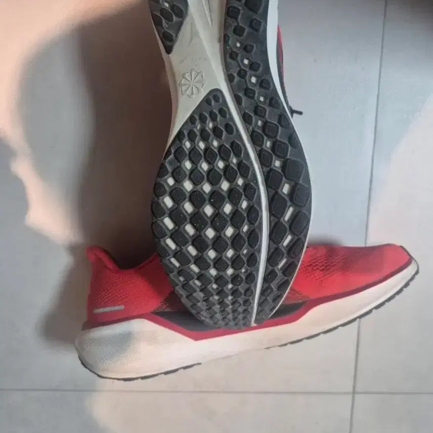 [BUNJANG] Nike Pegasus 41 Running Shoes / 나이키 페가수스41 285mm 판매