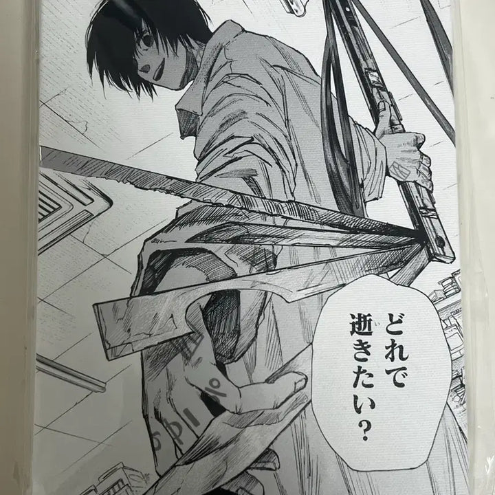 [BUNJANG] Nagumo Yoichi Artboard Sealed / 나구모 요이치 원화 아트보드 미개봉