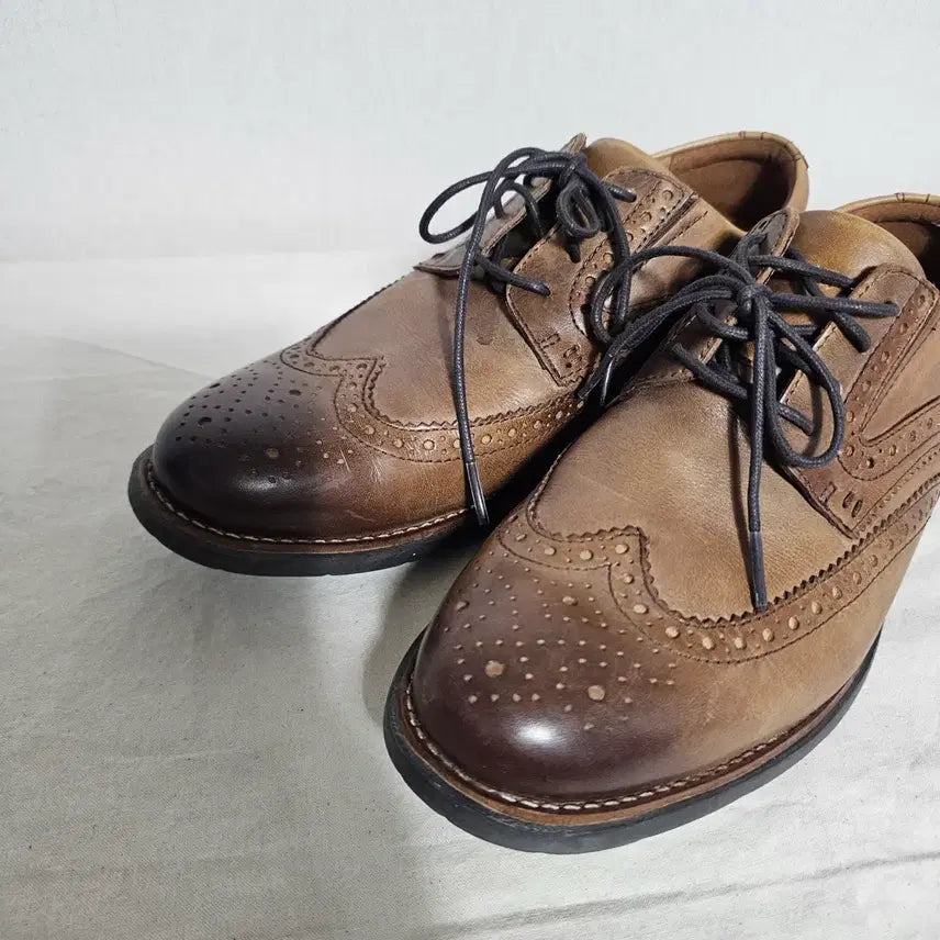 [SOLD OUT] 250락포트 토탈모션 클래식 윙팁  -457