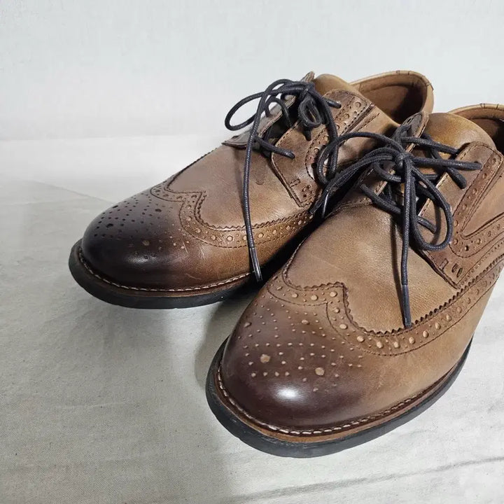 [SOLD OUT] 250락포트 토탈모션 클래식 윙팁  -457