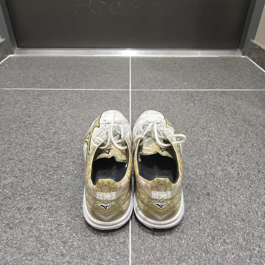 [BUNJANG] Mizuno Alpha Elite AS 285mm / 미즈노 알파 엘리트 AS 285mm