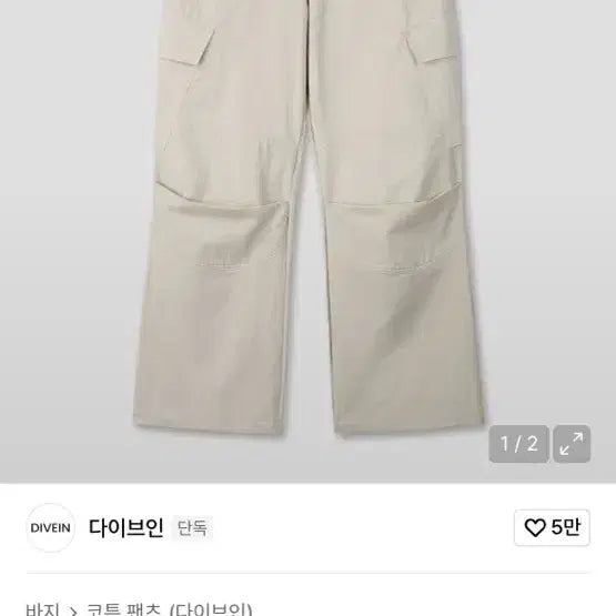 [BUNJANG] Divein Bane Cargo Pants / 다이브인 베인 카고 라이트세이지