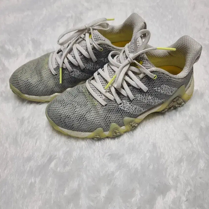[BUNJANG] Adidas Codechaos Golf Shoes (Grey, 235mm) / 아디다스 골프화 코드케이오스 235