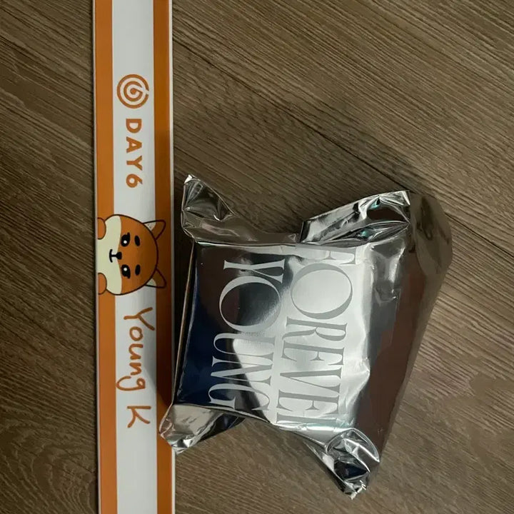 [BUNJANG] Day6 Forever Young Japan Goods Key Band Strap / 데이식스 포에버영 일본 굿즈 케 밴드 스트랩