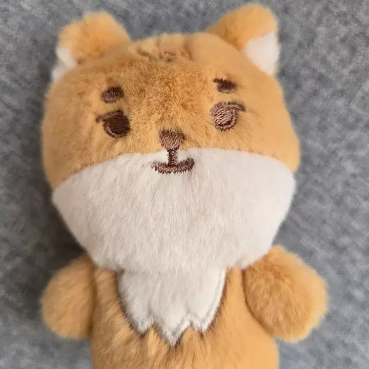 [BUNJANG] Day6 Finger Doll Bundle Set / 데이식스 핑거인형 손가락인형(일괄)