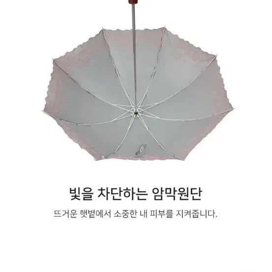 [BUNJANG] Pierre Cardin pi2311 Navy Umbrella / (새상품) 피에르가르뎅 우산,양산 pi2311 네이비색상