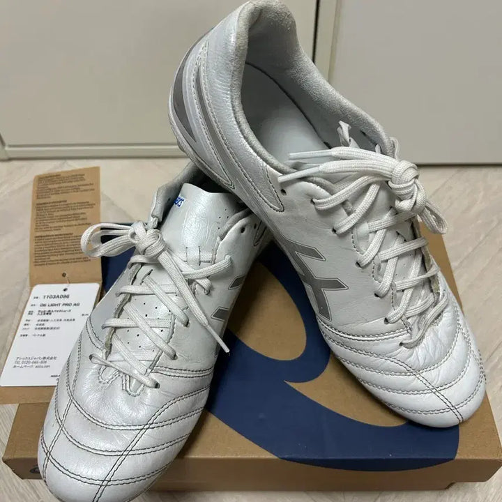 [BUNJANG] Asics DS Light Pro AG 255mm / 아식스 ds light pro ag 255mm