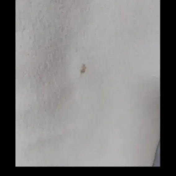 [BUNJANG] ABFZ Indian Pink Wool Coat / ab.f.z 인디언 핑크 모직 코트