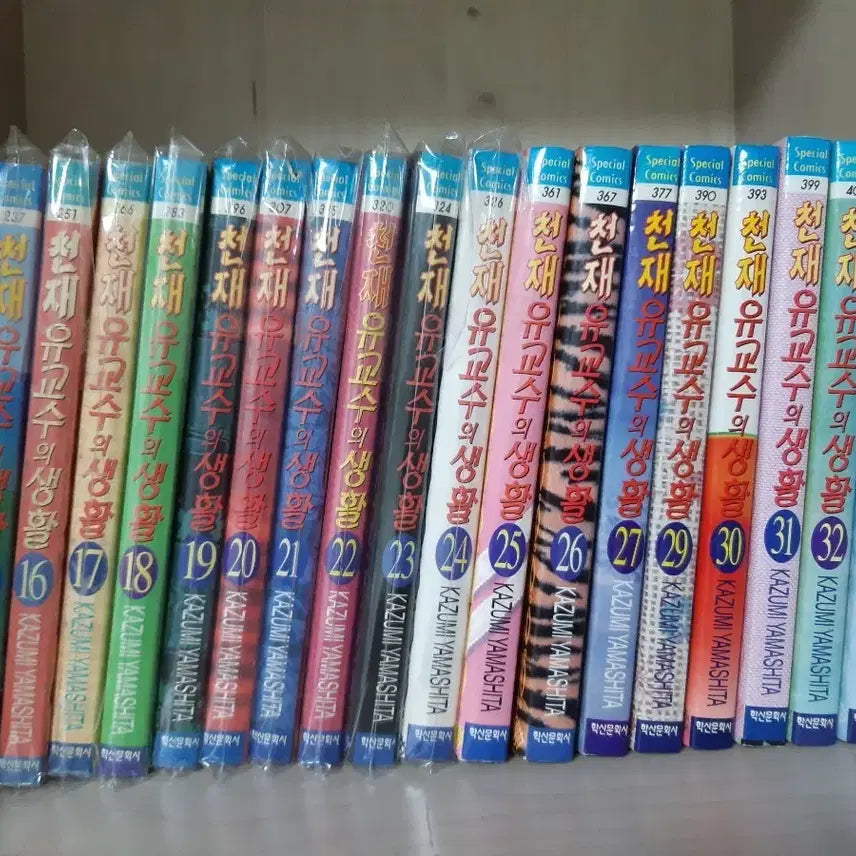 [BUNJANG] Chunjae Professor's Life Comic Book Full Set / 천재 유교수의 생활 만화책 전권 소장용