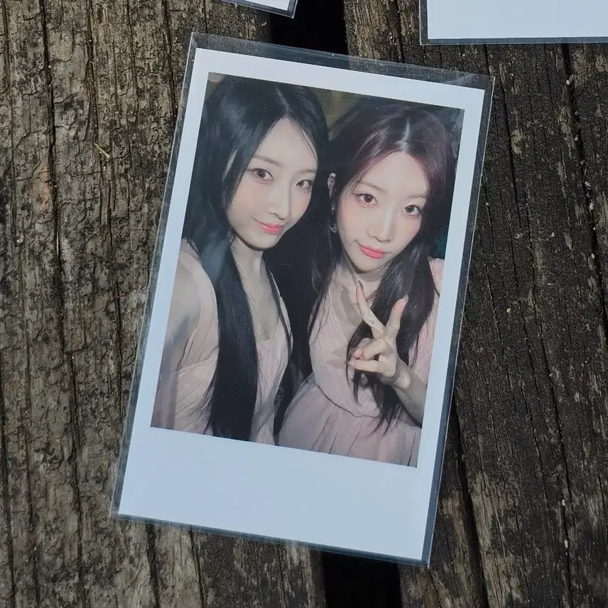 아르테미스 공방포카 유닛 하슬김립 이카루스 활동