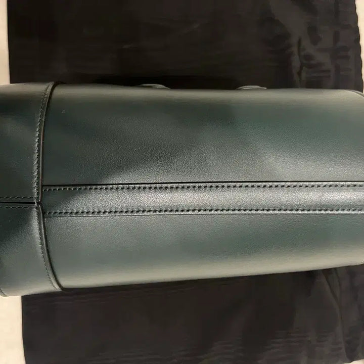 [BUNJANG] Celine Cur Bucket Bag - Small Amazon Color / *파격가* 셀린느 퀴르 스몰 버킷 백 아마존 컬러