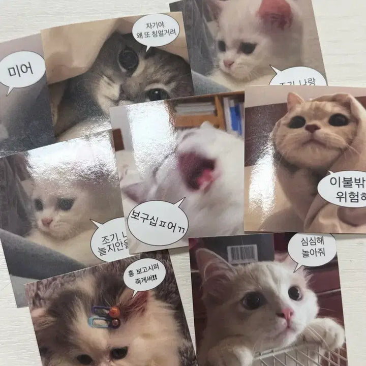 [BUNJANG] Sticker & Candy Wrapper / 스티커 및 사탕포장지