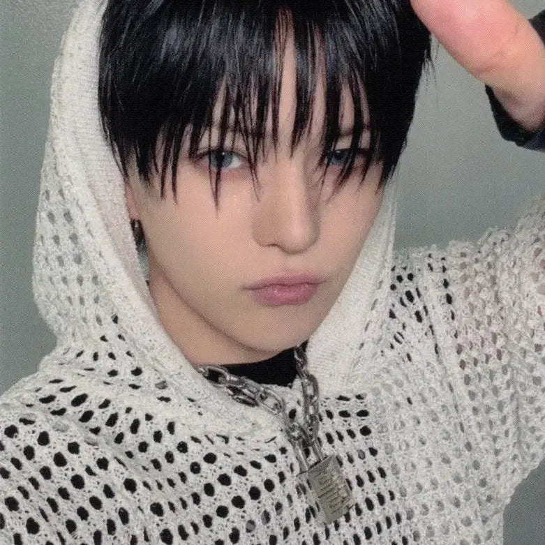 트레저 요시 폴라