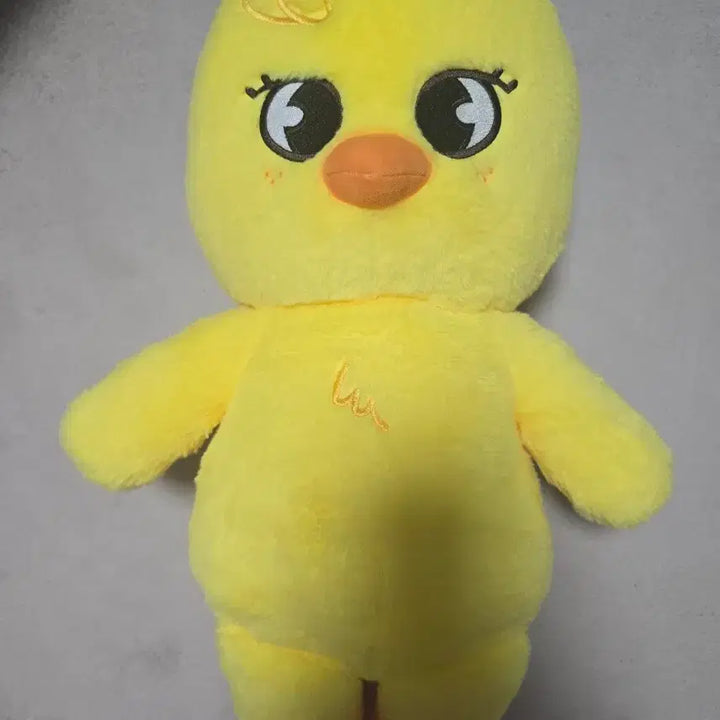 [SOLD OUT] 테디베어 스키주 뽁아리 여권포함