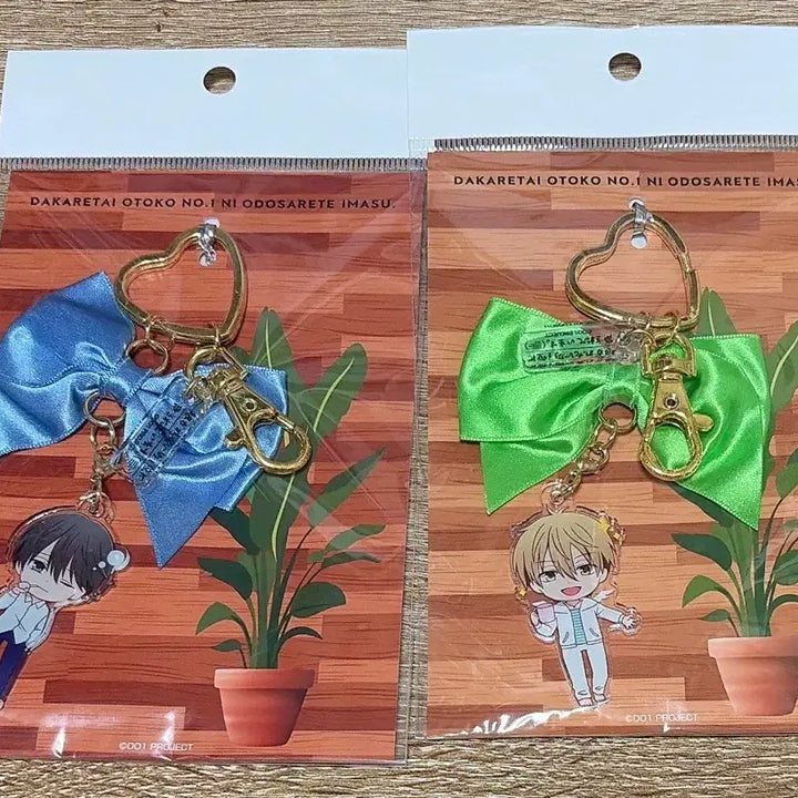 [BUNJANG] An Gihyeon Keyring Bundle Set / 안기남 키링 일괄 판매