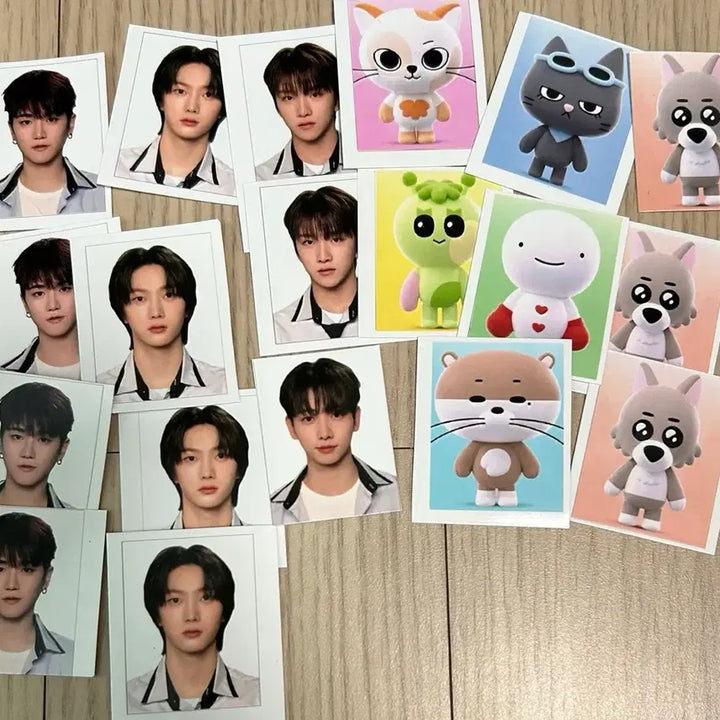 [BUNJANG] BOYNEXTDOOR Jaehyun Photocard + Album Bundle Set / 보넥도 증사+명재현 포카+앨범 일괄