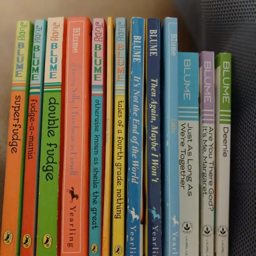 [BUNJANG] Judy Blume Book / 영어책 주디블룸