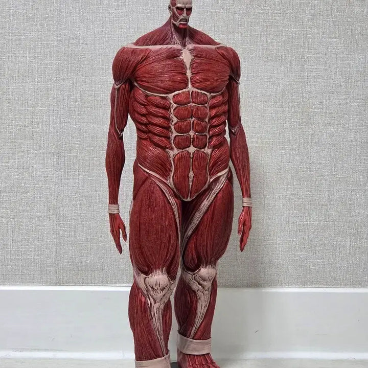 [BUNJANG] Attack on Titan Colossal Titan Figure / 개봉품) 초대형거인 피규어 진격의거인 라스트원상 박스X