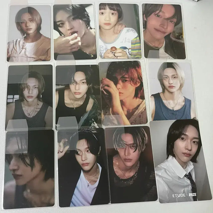 [SOLD OUT] 라이즈 원빈 포카 일괄양도
