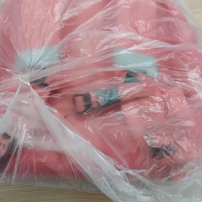 [BUNJANG] Backpack / 베네통 핑크 꽃 장식 백팩 가방