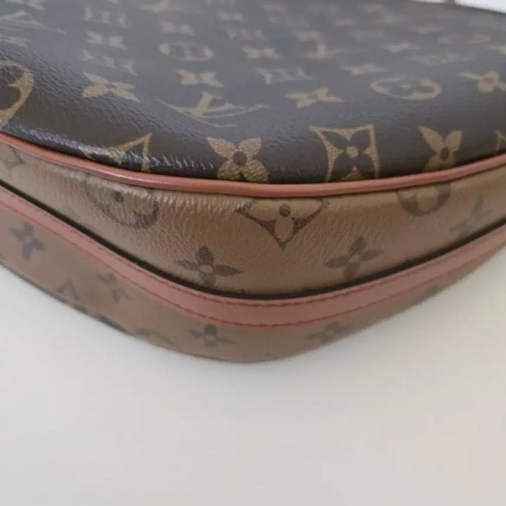 [BUNJANG] Louis Vuitton Loop Hobo Shoulder/Crossbody Bag / 정품 루이비통 루프호보 숄더.크로스백