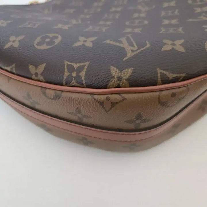 [BUNJANG] Louis Vuitton Loop Hobo Shoulder/Crossbody Bag / 정품 루이비통 루프호보 숄더.크로스백