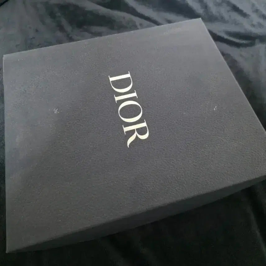 [BUNJANG] Dior Oblique Sneakers 44 / 디올 오블리크 스니커즈 44