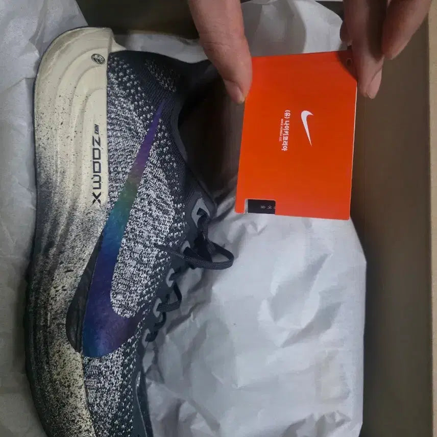 [BUNJANG] Nike Pegasus Plus 295 / 나이키 페가수스 플러스 295 팝니다.