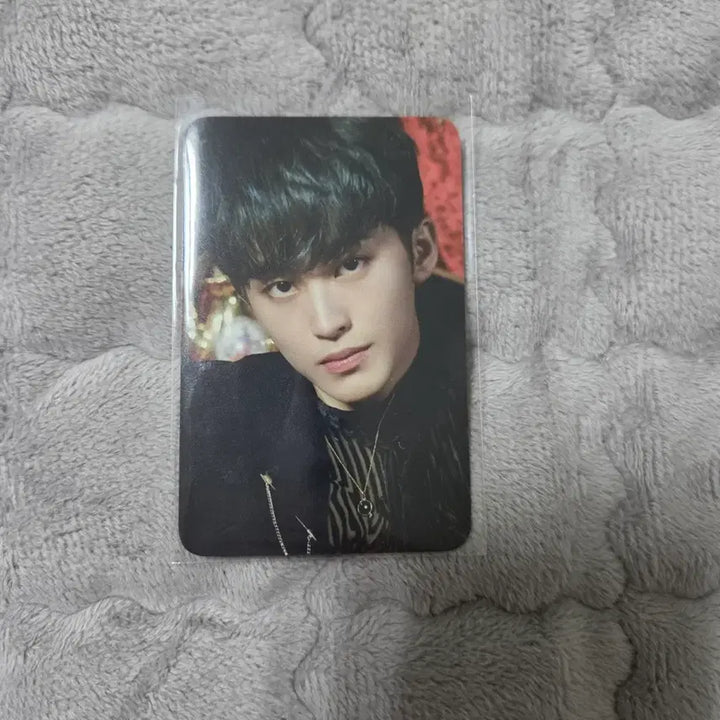 [BUNJANG] NCT Mark Photocard / nct 마크 포카 포토카드 엔시티 양도