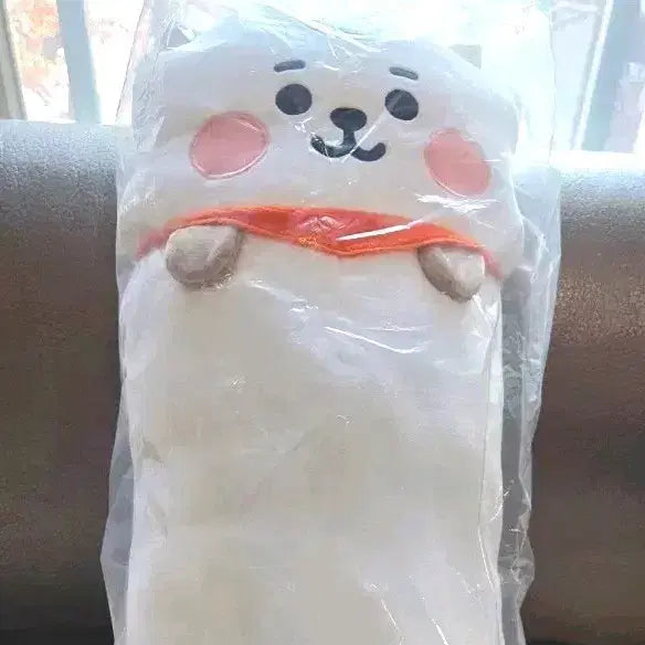 [BUNJANG] BT21 RJ Body Pillow / bts 진 굿즈  BT21 RJ 바디필로우