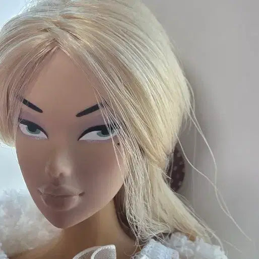 [BUNJANG] Fashion Doll / 바비사이즈 패션돌 판매합니다.