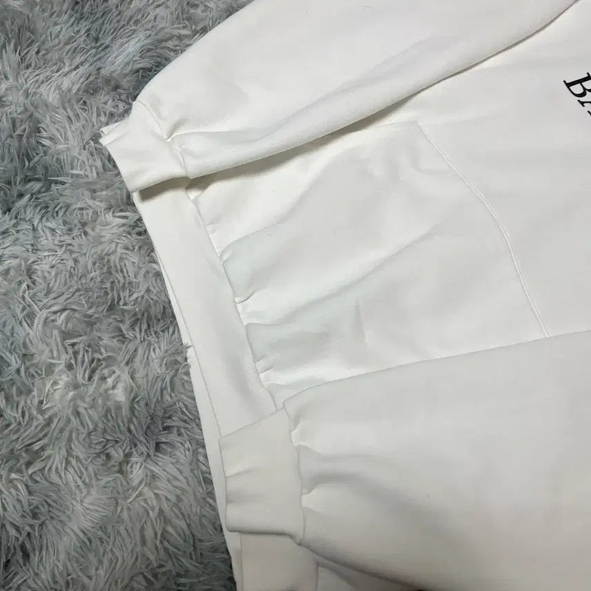 [BUNJANG] Balenciaga Laurel Wreath Hoodie / {M size} 발렌시아가 월계수 후드티